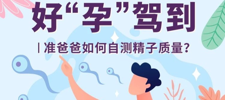 好“孕”驾到 | 准爸爸如何自测精子质量？