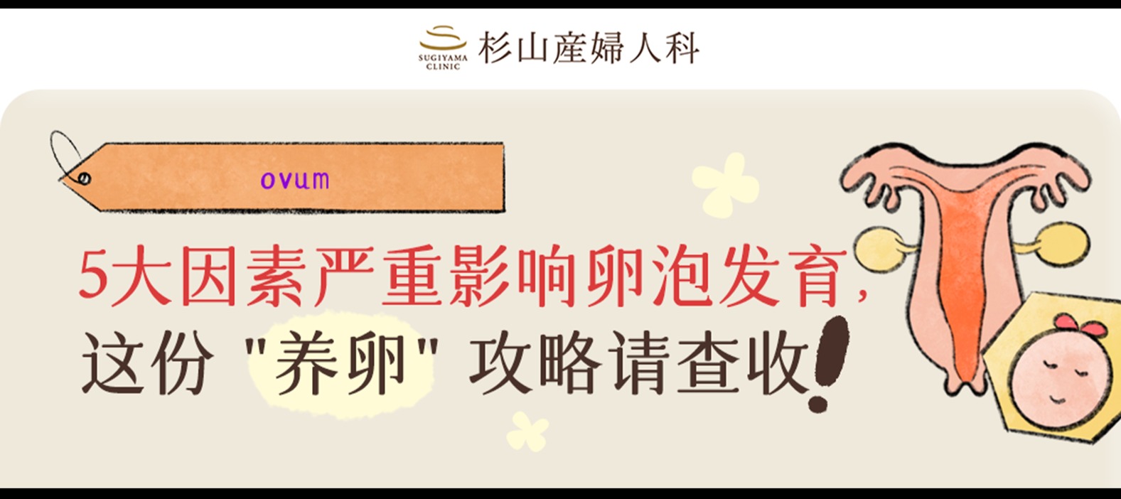 5大因素严重影响卵泡发育，这份“养卵”攻略请查收！