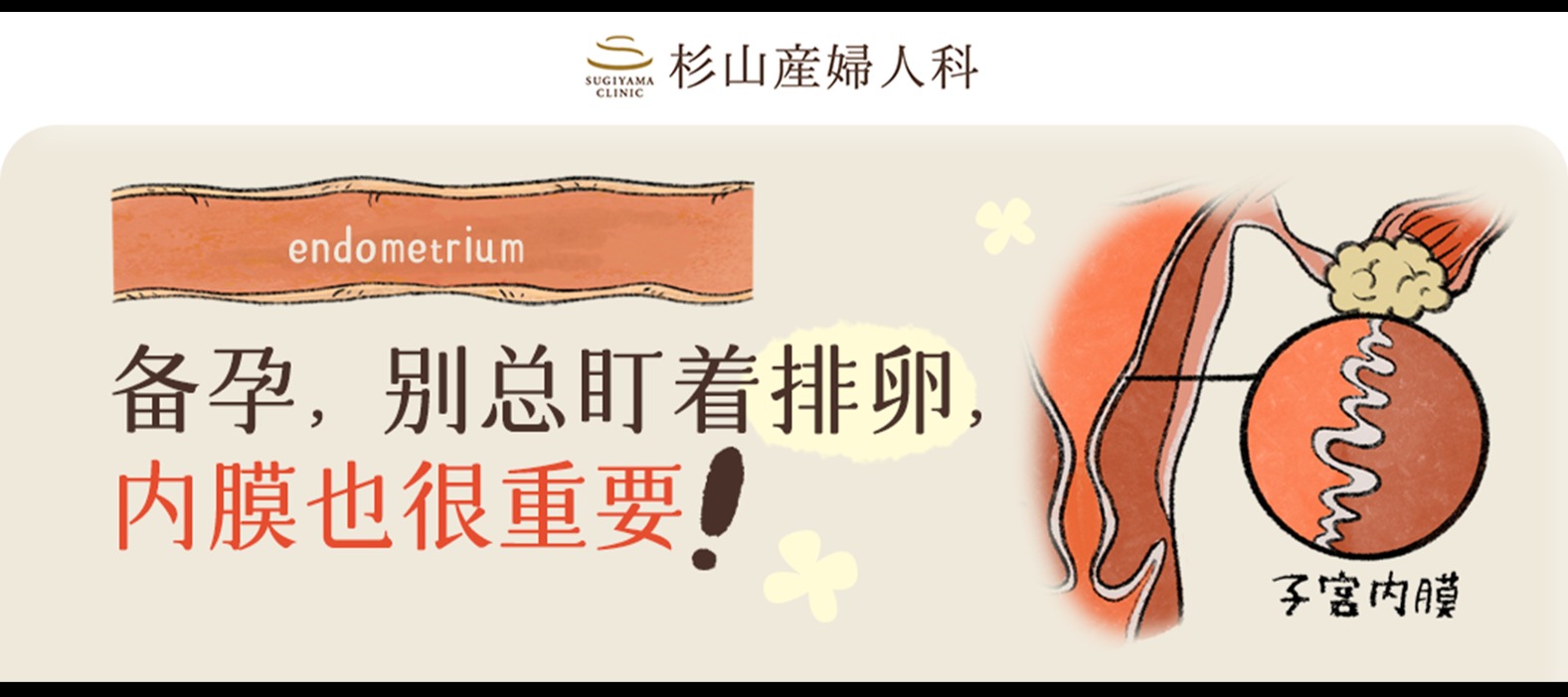 备孕，别总盯着排卵，内膜也很重要！